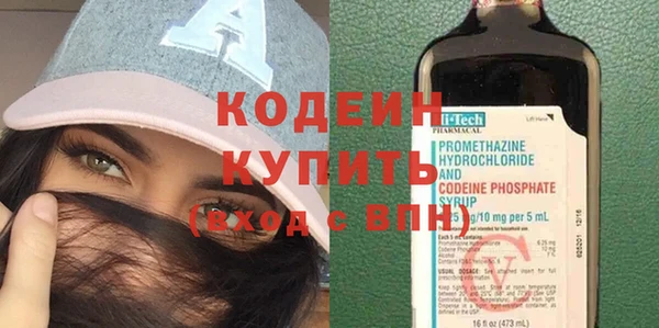 шишки Вяземский