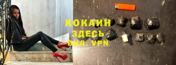 шишки Вяземский