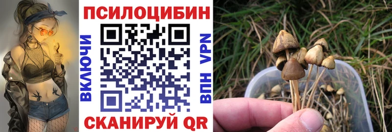 что такое наркотик  Зерноград  Галлюциногенные грибы Magic Shrooms 